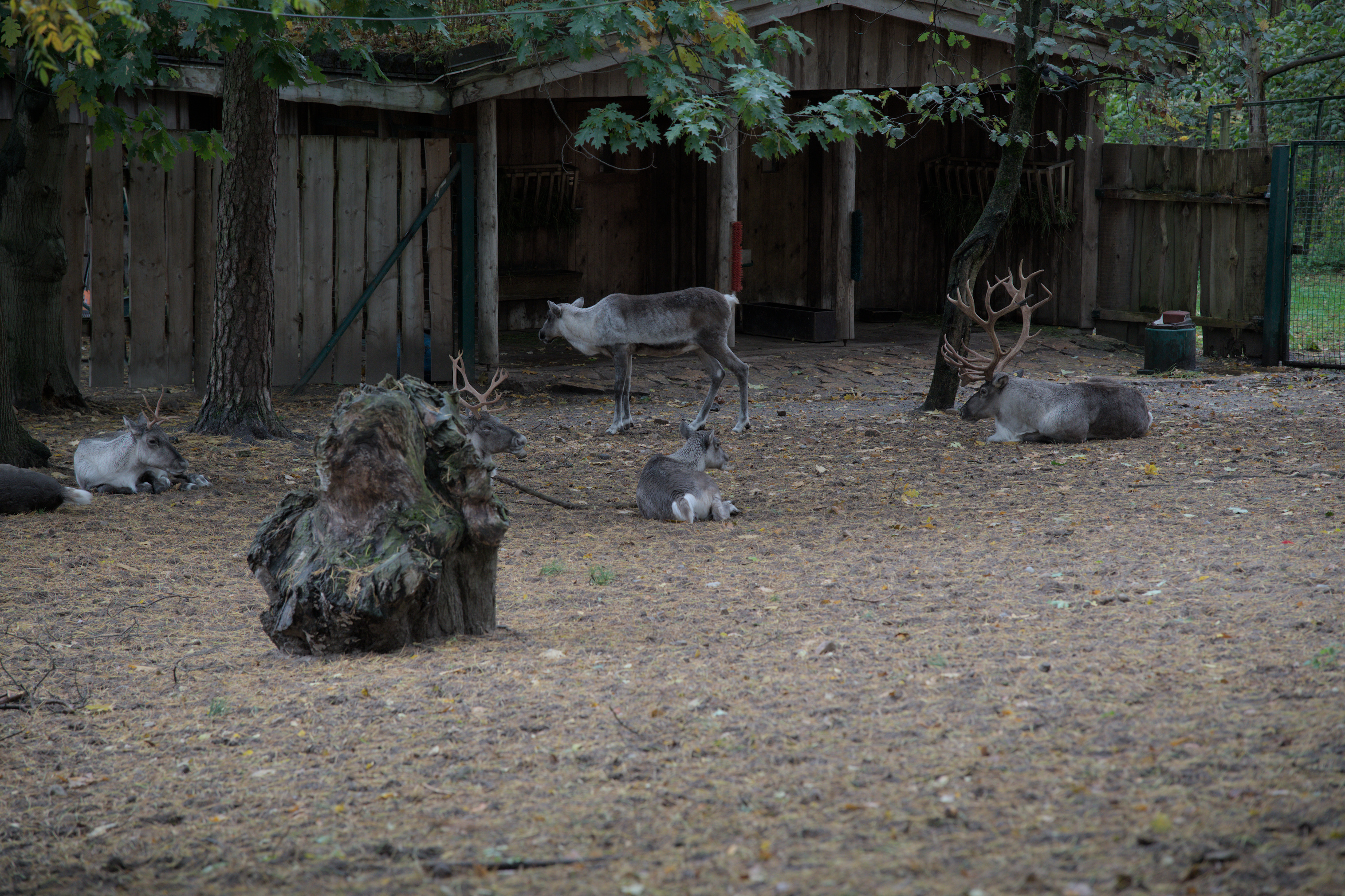 2025/10/12 - zoo/DSC_0064.jpg